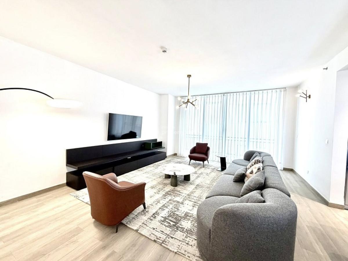 Gorgeous, High End 2 Bed Room Apartment, Kazanchis (walking to Uneca)., Kazanchis, Addis Ababa, Apartment for Rent