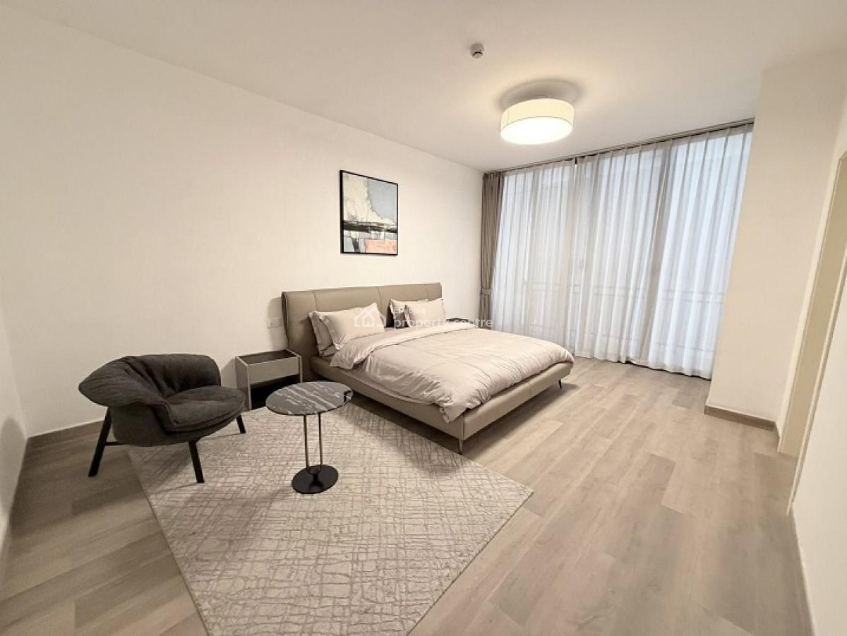 Gorgeous, High End 2 Bed Room Apartment, Kazanchis (walking to Uneca)., Kazanchis, Addis Ababa, Apartment for Rent