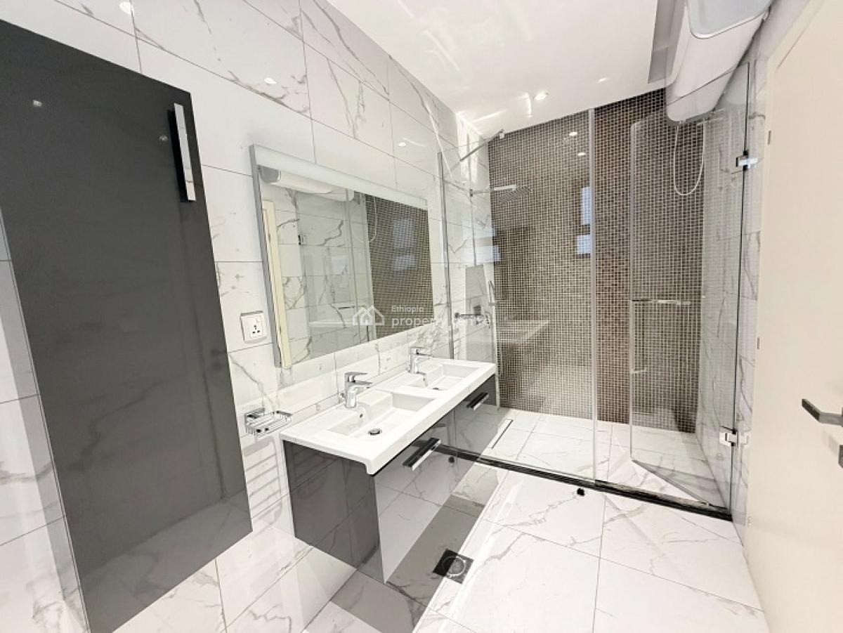 Gorgeous, High End 2 Bed Room Apartment, Kazanchis (walking to Uneca)., Kazanchis, Addis Ababa, Apartment for Rent
