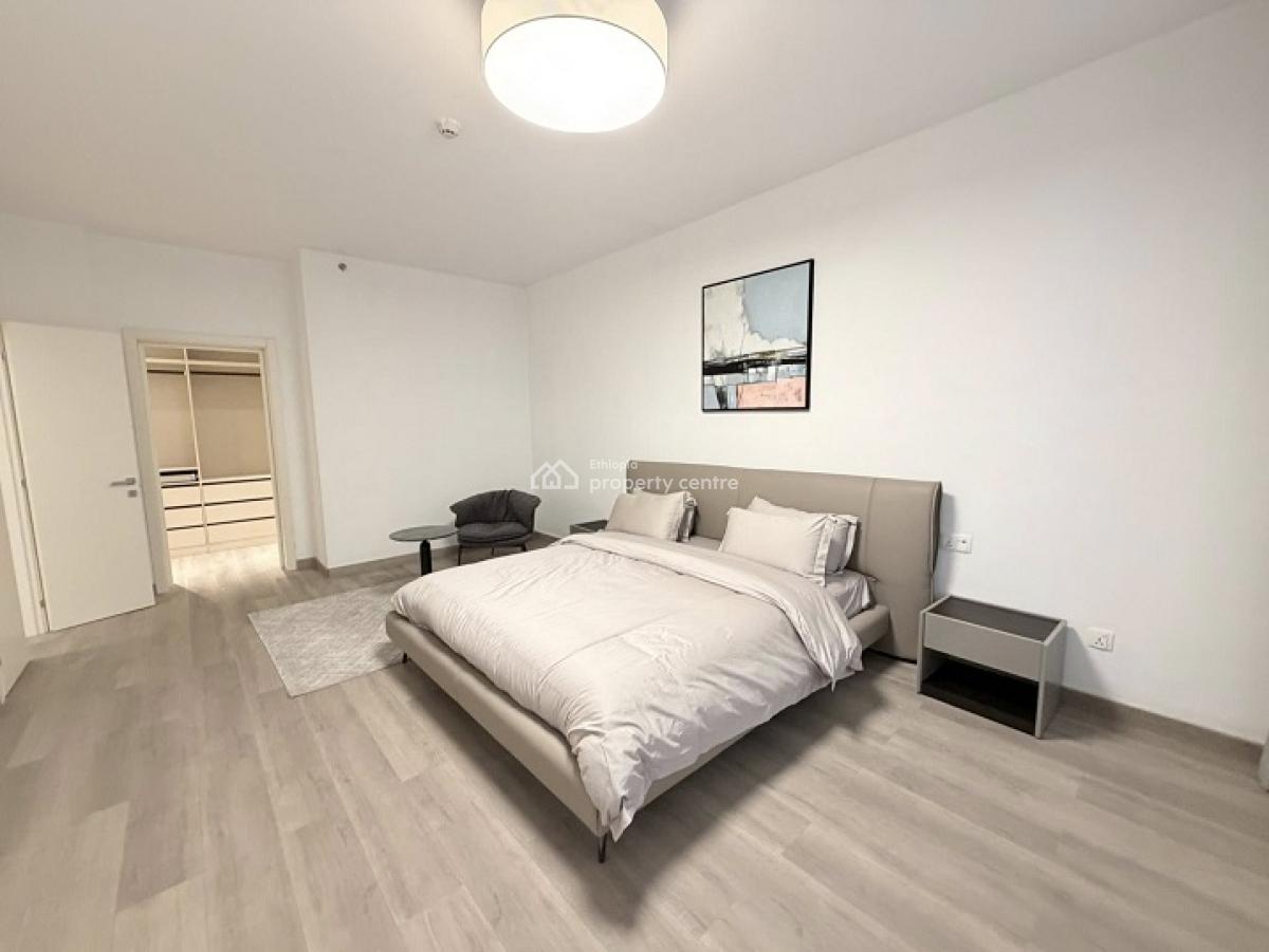 Gorgeous, High End 2 Bed Room Apartment, Kazanchis (walking to Uneca)., Kazanchis, Addis Ababa, Apartment for Rent