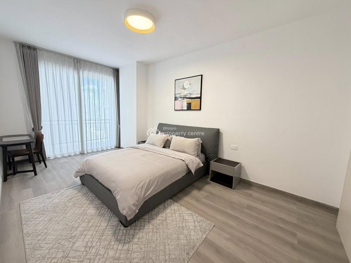 Gorgeous, High End 2 Bed Room Apartment, Kazanchis (walking to Uneca)., Kazanchis, Addis Ababa, Apartment for Rent