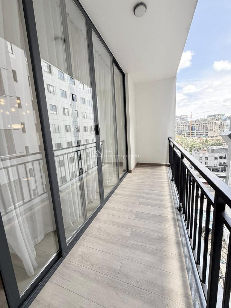 Gorgeous, High End 2 Bed Room Apartment, Kazanchis (walking to Uneca)., Kazanchis, Addis Ababa, Apartment for Rent