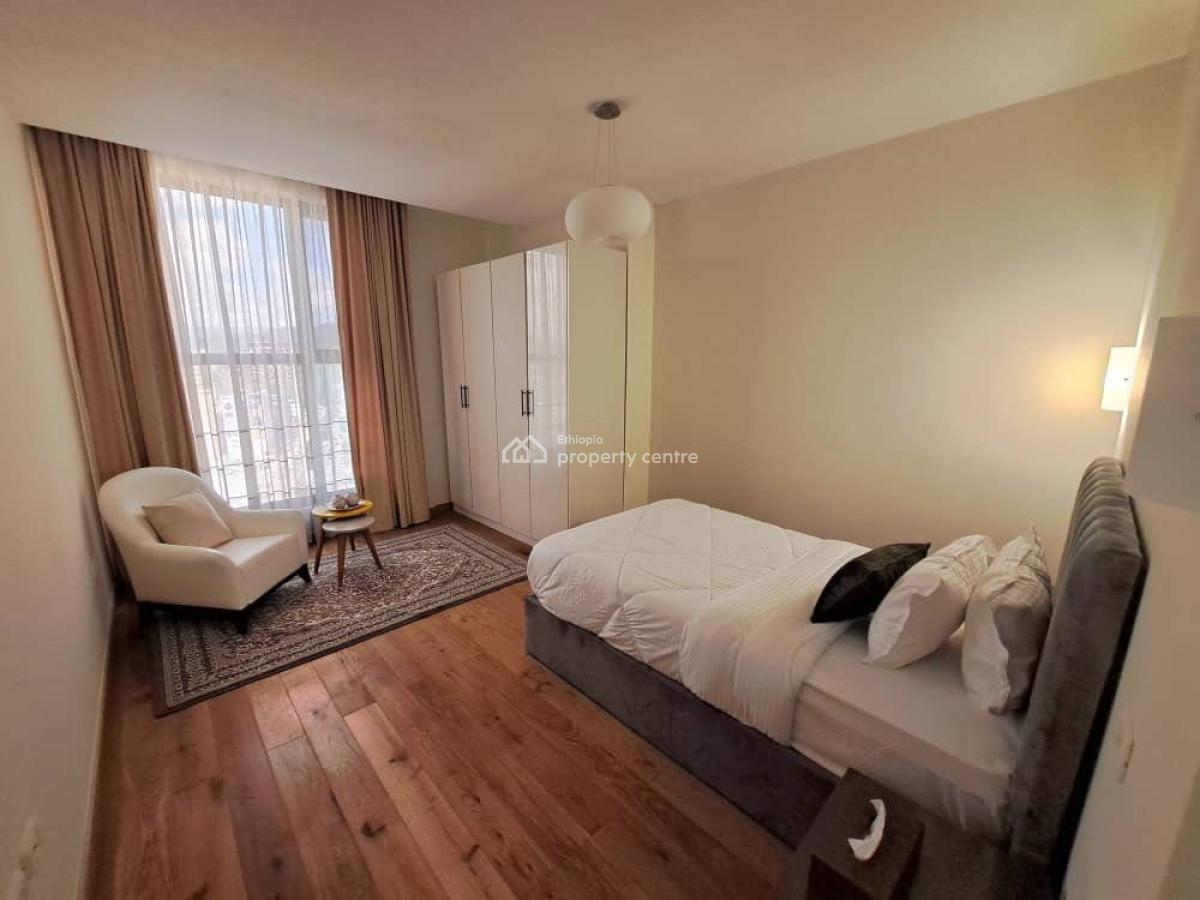 Excellent Fully Furnished 2 Bedroom Apartment, Bole, Bole, Addis Ababa, Apartment for Rent