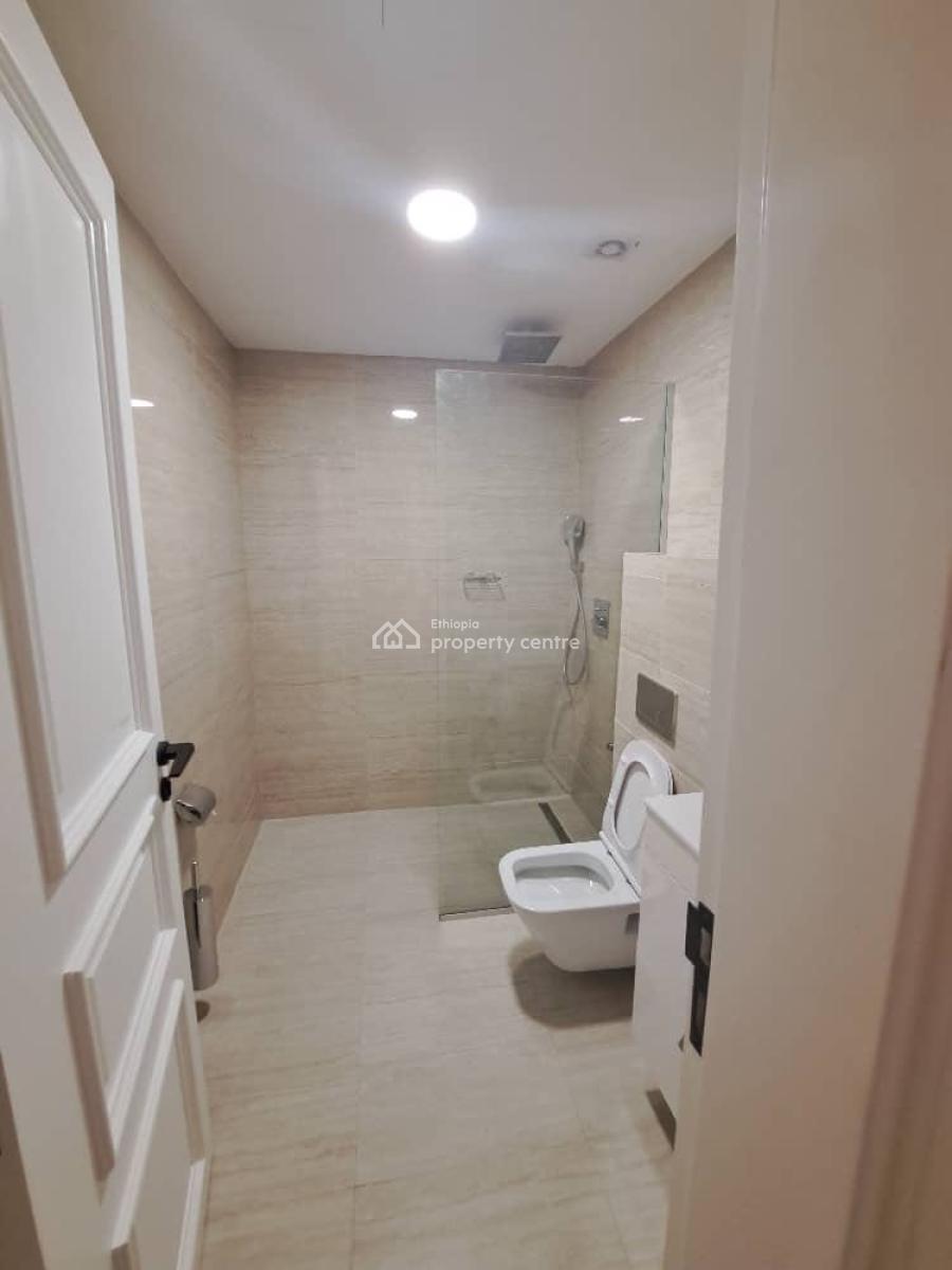 Excellent Fully Furnished 2 Bedroom Apartment, Bole, Bole, Addis Ababa, Apartment for Rent