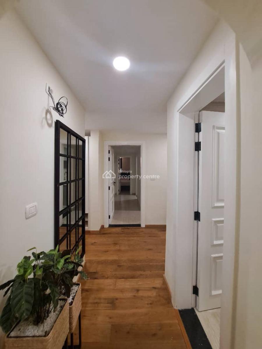 Excellent Fully Furnished 2 Bedroom Apartment, Bole, Bole, Addis Ababa, Apartment for Rent