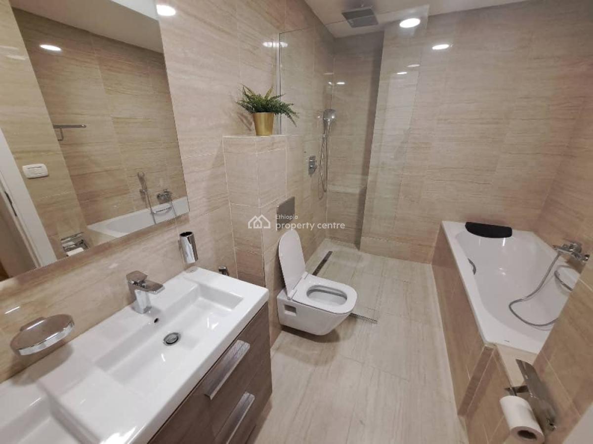 Excellent Fully Furnished 2 Bedroom Apartment, Bole, Bole, Addis Ababa, Apartment for Rent