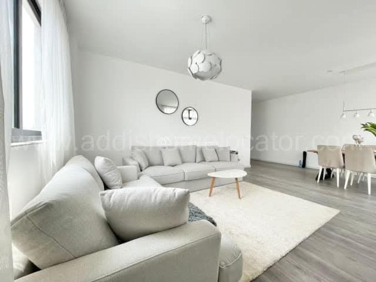 Naturally Well-lit Modern Apartment -- Bole, Bole, Addis Ababa, Apartment for Rent