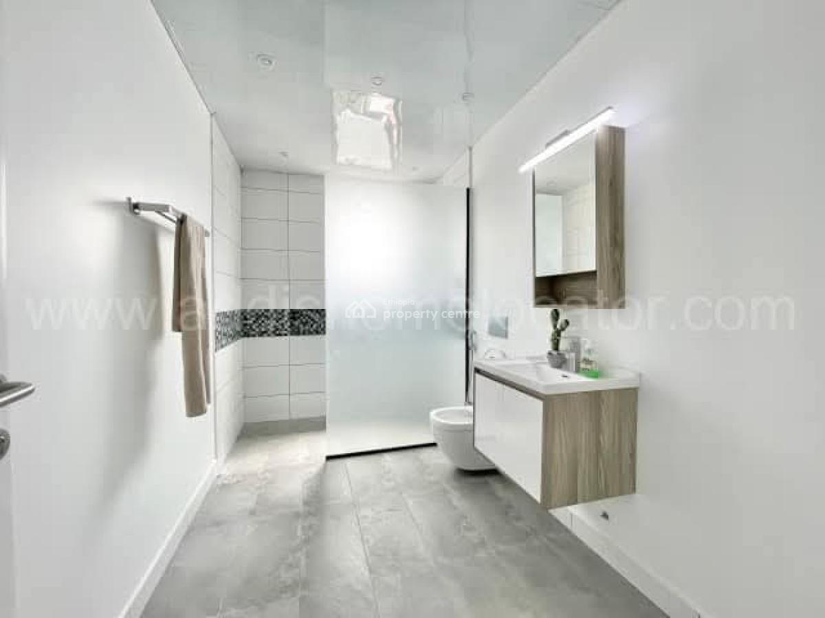 Naturally Well-lit Modern Apartment -- Bole, Bole, Addis Ababa, Apartment for Rent
