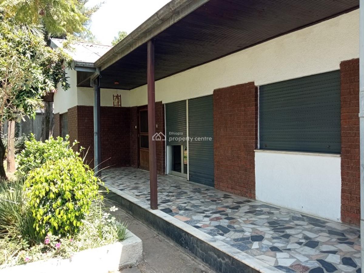 (old + Great) Villa, (front + Back) Garden, at Megenagna., Bole, Addis Ababa, House for Rent