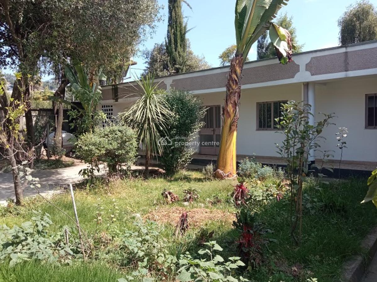 (old + Great) Villa, (front + Back) Garden, at Megenagna., Bole, Addis Ababa, House for Rent