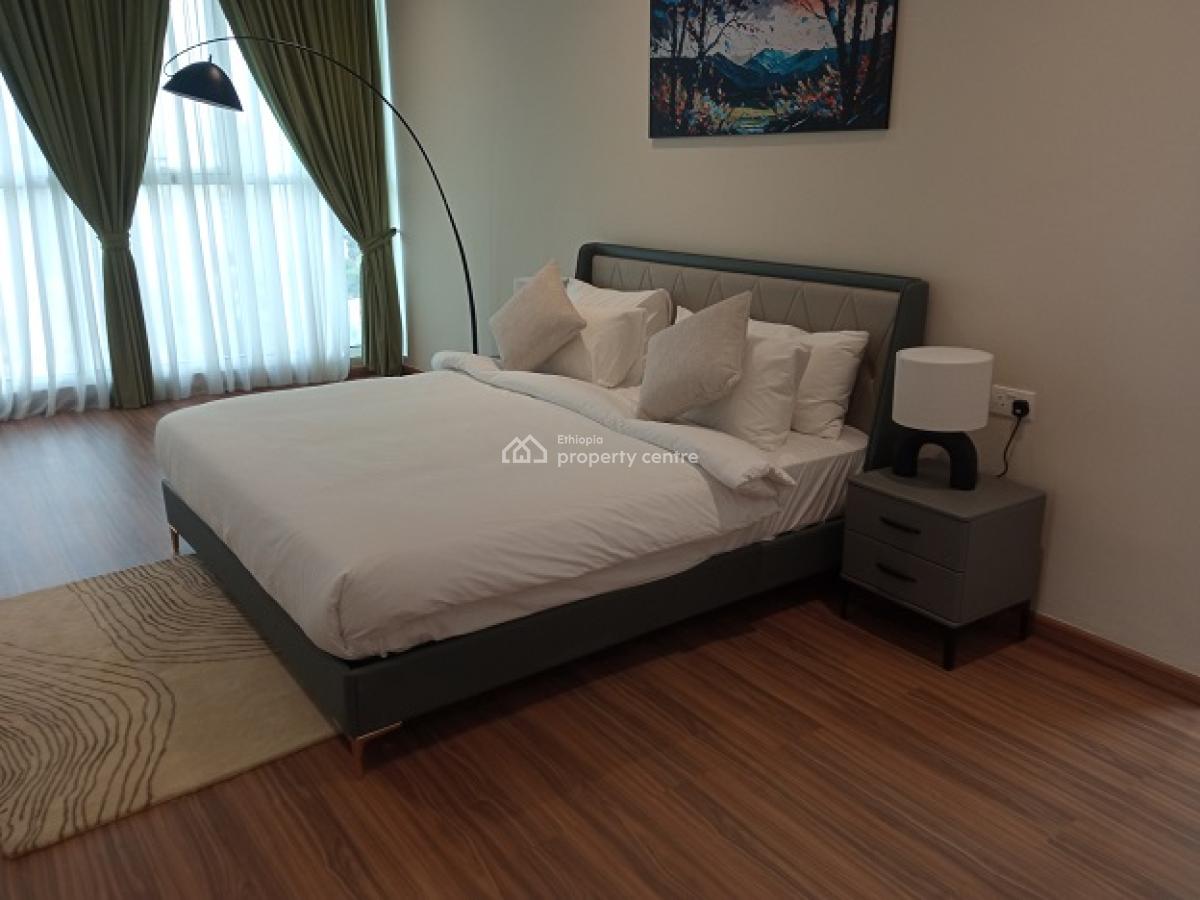 Most Luxurious, High End Apartments with a Swimming Pool., Bole, Addis Ababa, Apartment for Rent