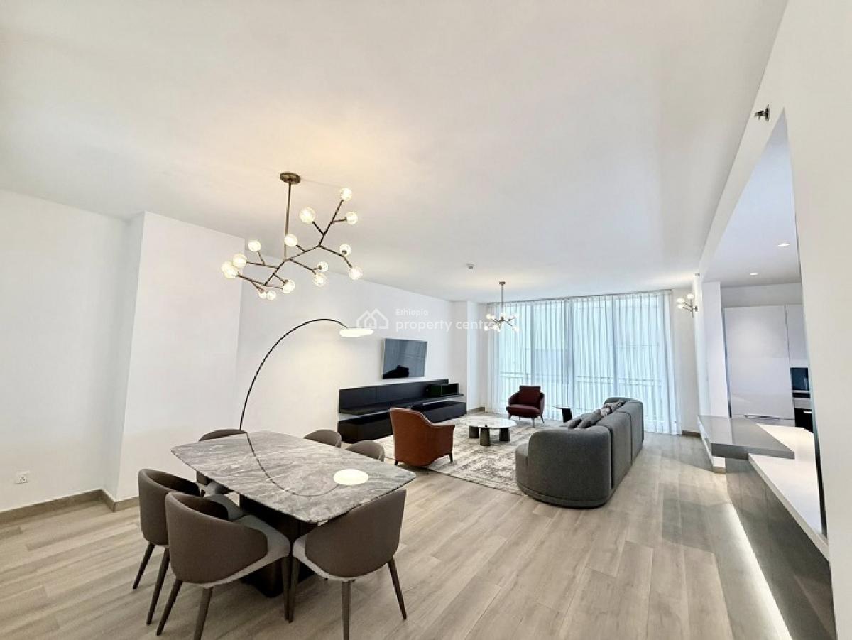Gorgeous, High End 2 Bed Room Apartment, Kazanchis (walking to Uneca)., Kazanchis, Addis Ababa, Apartment for Rent