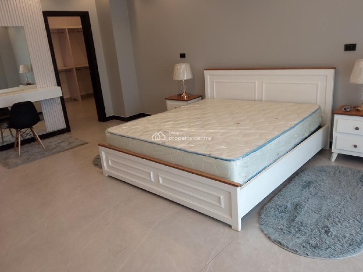 The Best (high Standard+) 3bed Room Flat, Bole, Addis Ababa, Apartment for Rent