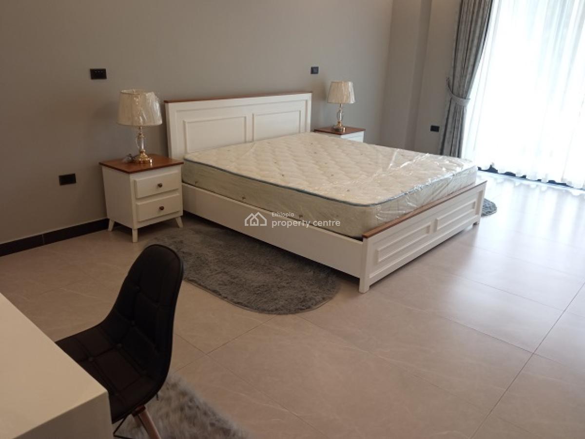 The Best (high Standard+) 3bed Room Flat, Bole, Addis Ababa, Apartment for Rent