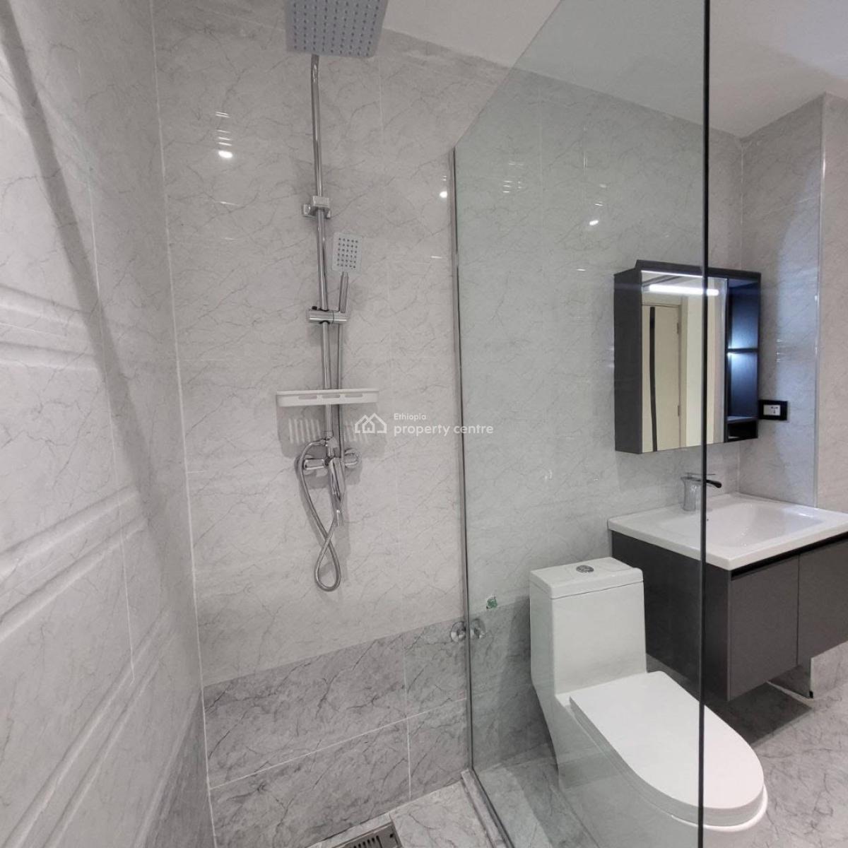 Luxury 2 Bedroom Apartment with Excellent Amenities, Bole / Dema Hope Real Estate, Bole, Addis Ababa, Apartment for Sale