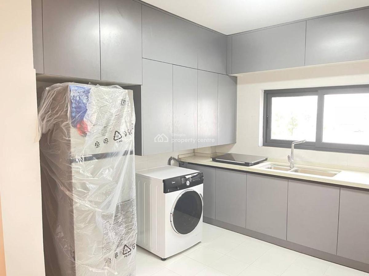 Expat-standard 3-bedroom Furnished Apartment with Rooftop -- Megenagna, Megenagna, Yeka, Addis Ababa, Self Contained (single Rooms) for Rent