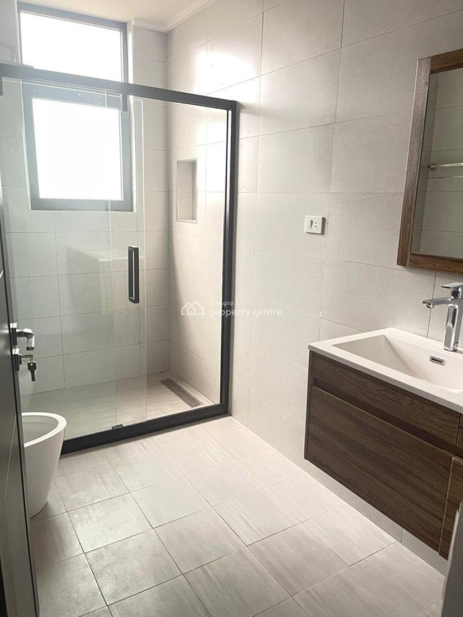 Expat-standard 3-bedroom Furnished Apartment with Rooftop -- Megenagna, Megenagna, Yeka, Addis Ababa, Self Contained (single Rooms) for Rent