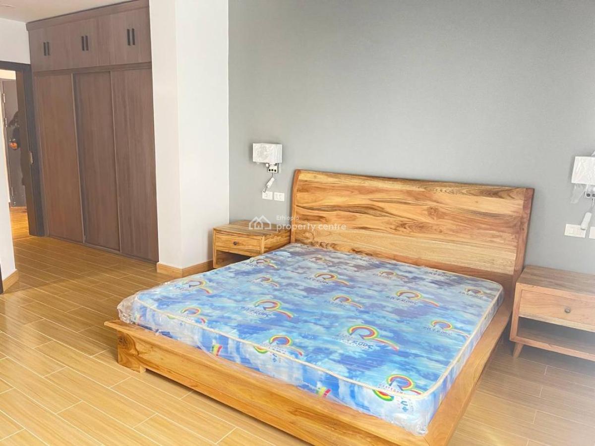 Expat-standard 3-bedroom Furnished Apartment with Rooftop -- Megenagna, Megenagna, Yeka, Addis Ababa, Self Contained (single Rooms) for Rent
