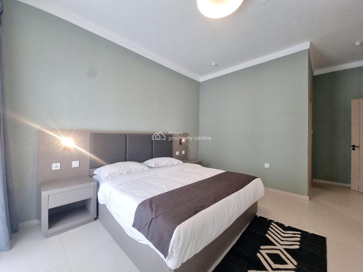 Newly Built Luxury 2-bedroom Apartment -- Bole, Bole, Addis Ababa, Apartment for Rent