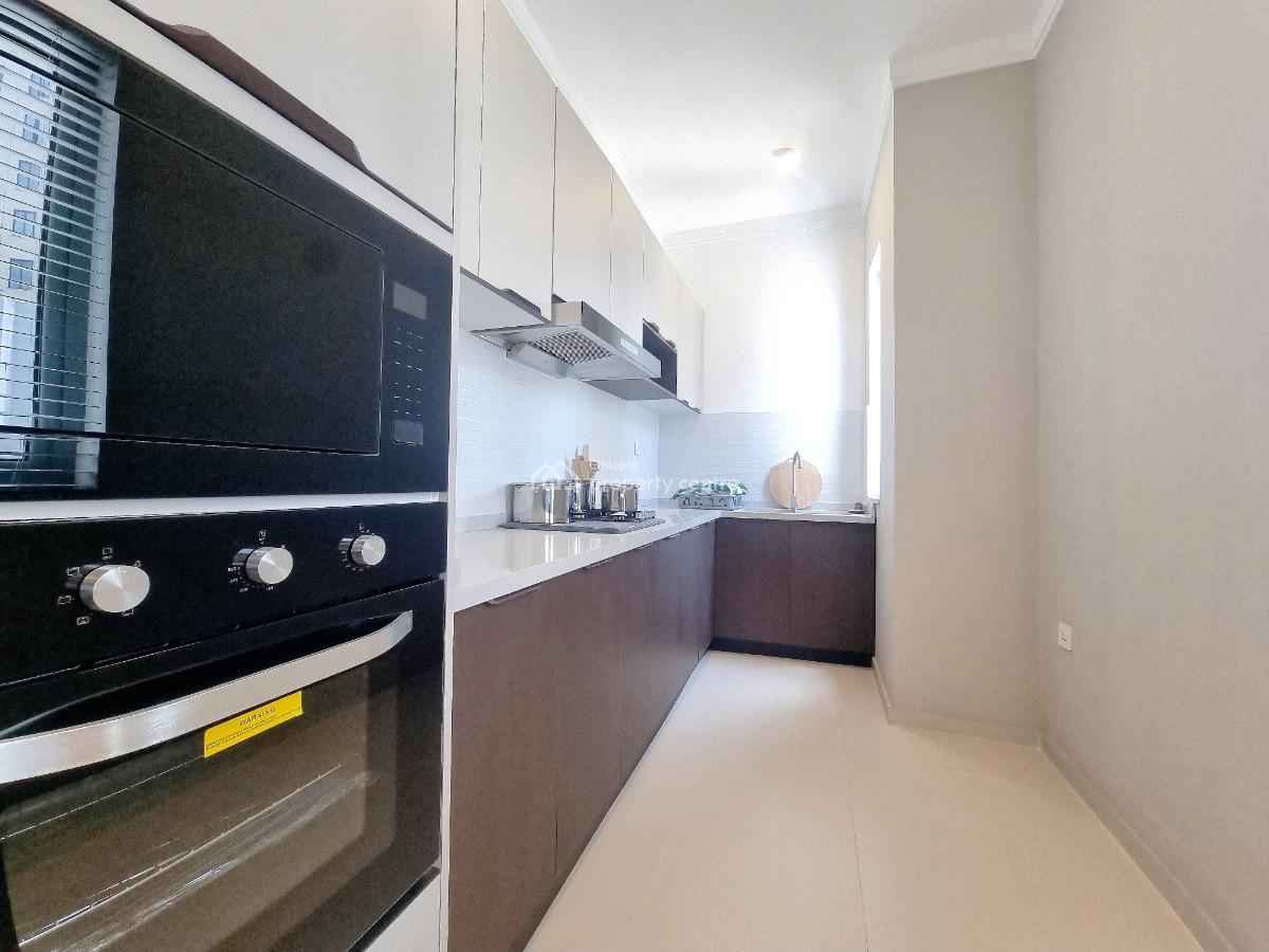 Newly Built Luxury 2-bedroom Apartment -- Bole, Bole, Addis Ababa, Apartment for Rent