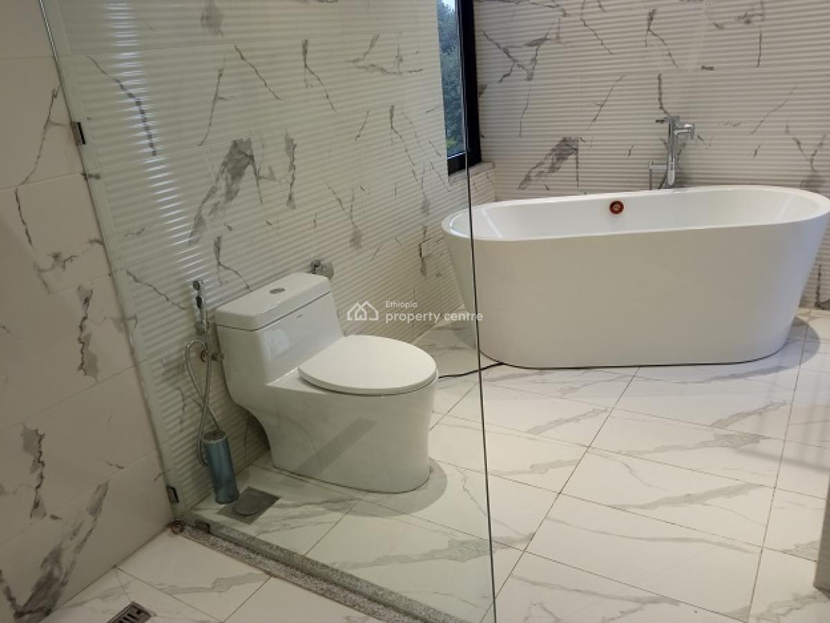 New and Gorgeous Fully Furnished 4 Bed Room Apartment, at Old Airport, Nifas Silk-lafto, Addis Ababa, Apartment for Rent