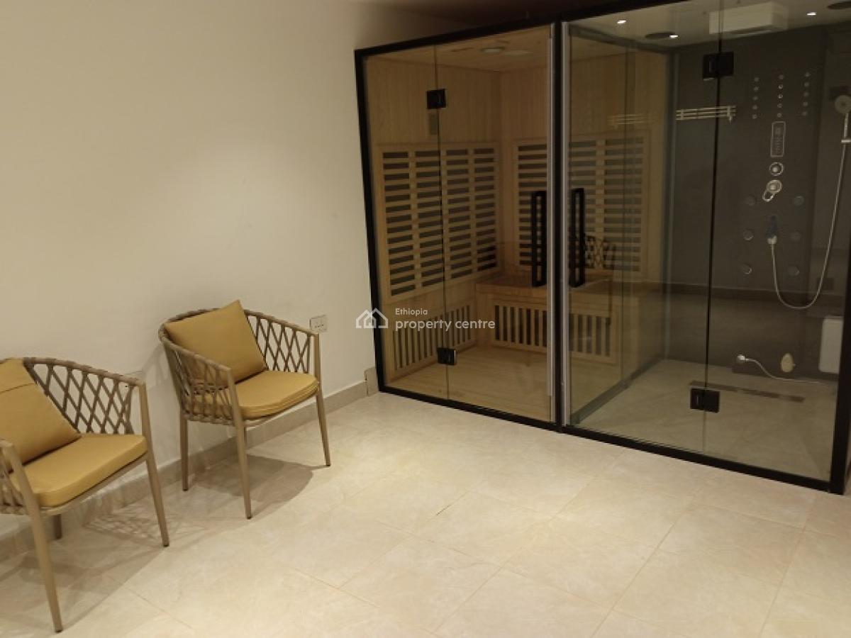 New and Gorgeous Fully Furnished 4 Bed Room Apartment, at Old Airport, Nifas Silk-lafto, Addis Ababa, Apartment for Rent
