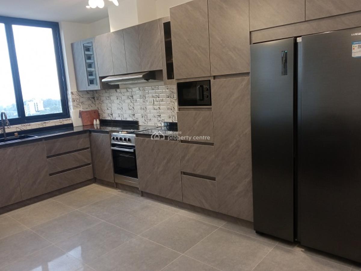 New and Gorgeous Fully Furnished 4 Bed Room Apartment, at Old Airport, Nifas Silk-lafto, Addis Ababa, Apartment for Rent