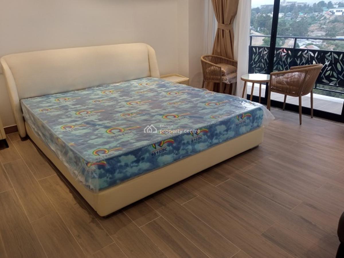New and Gorgeous Fully Furnished 4 Bed Room Apartment, at Old Airport, Nifas Silk-lafto, Addis Ababa, Apartment for Rent