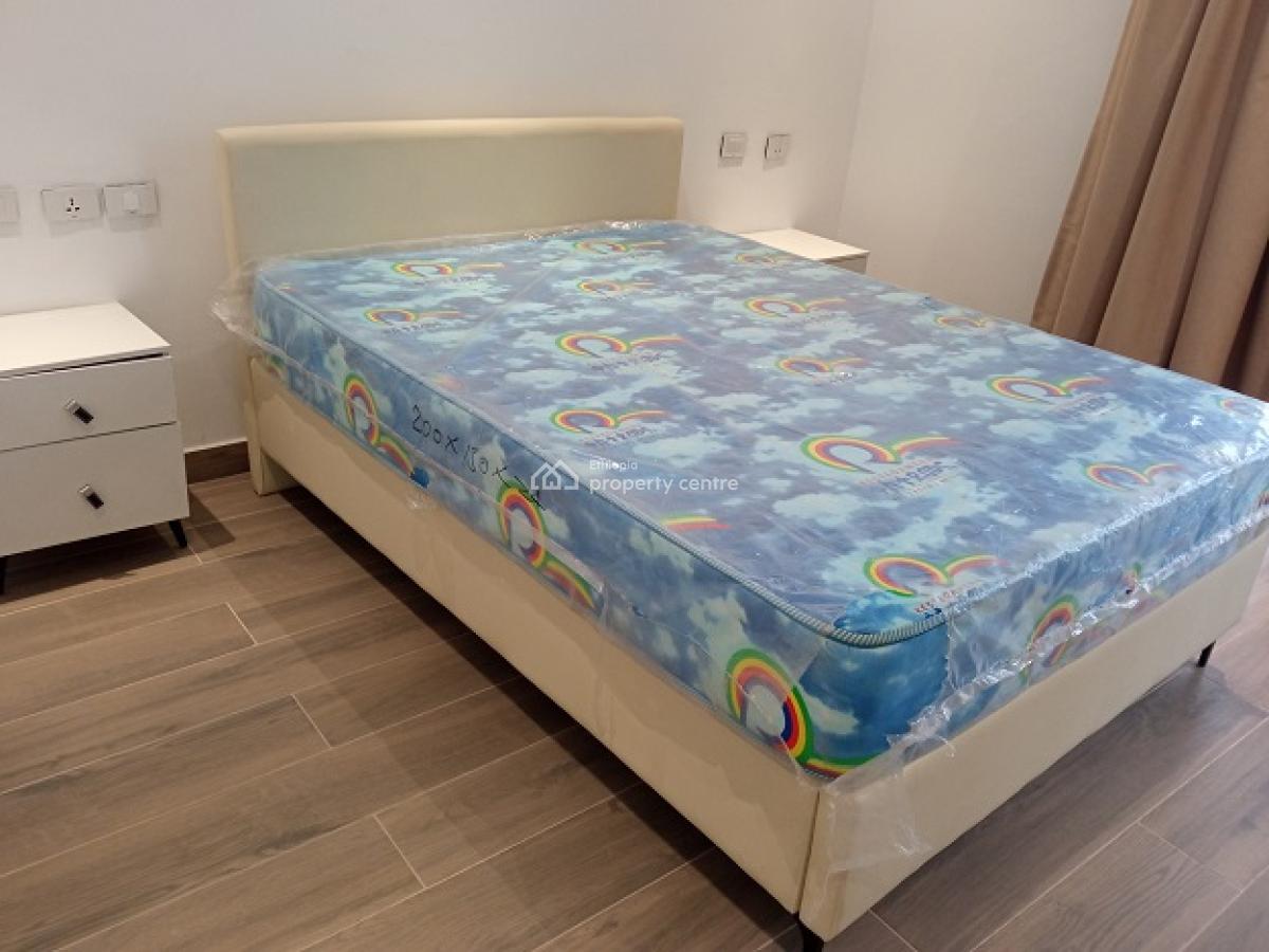 New and Gorgeous Fully Furnished 4 Bed Room Apartment, at Old Airport, Nifas Silk-lafto, Addis Ababa, Apartment for Rent