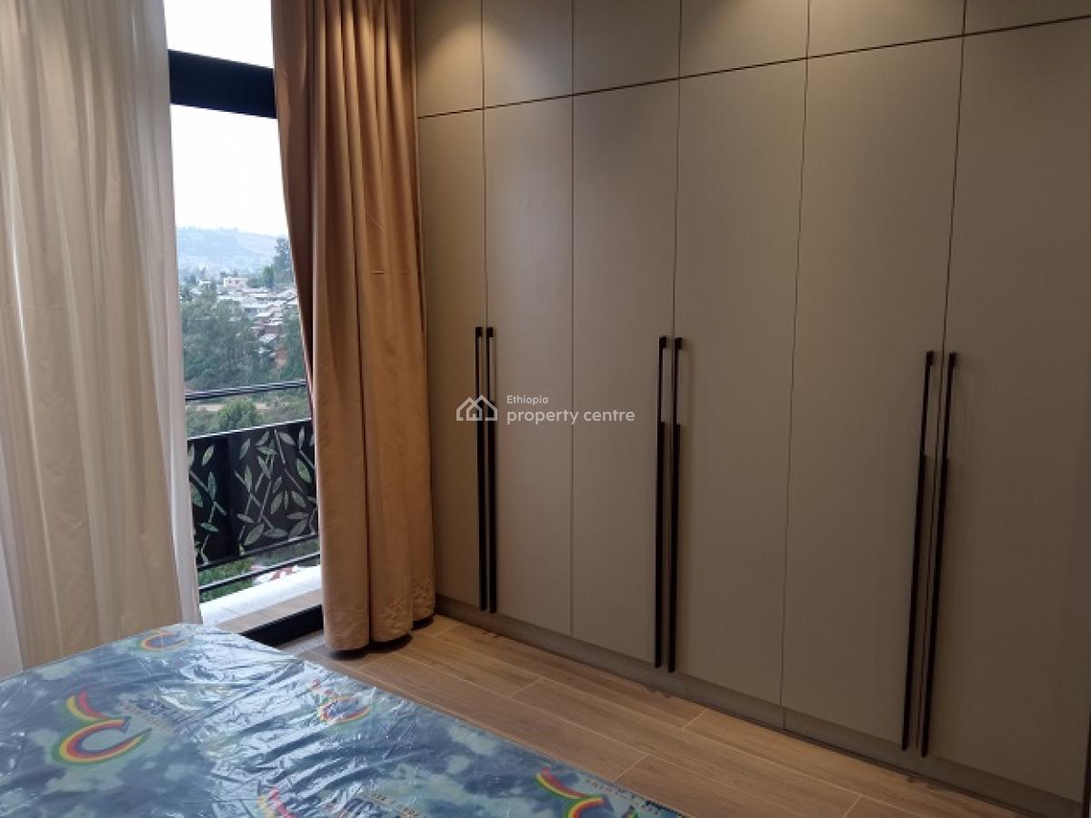 New and Gorgeous Fully Furnished 4 Bed Room Apartment, at Old Airport, Nifas Silk-lafto, Addis Ababa, Apartment for Rent