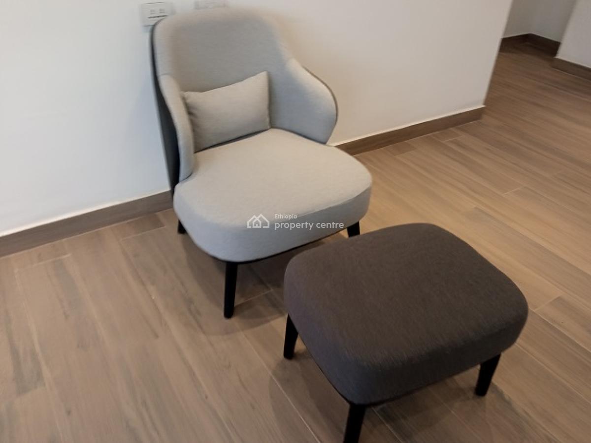 New and Gorgeous Fully Furnished 4 Bed Room Apartment, at Old Airport, Nifas Silk-lafto, Addis Ababa, Apartment for Rent