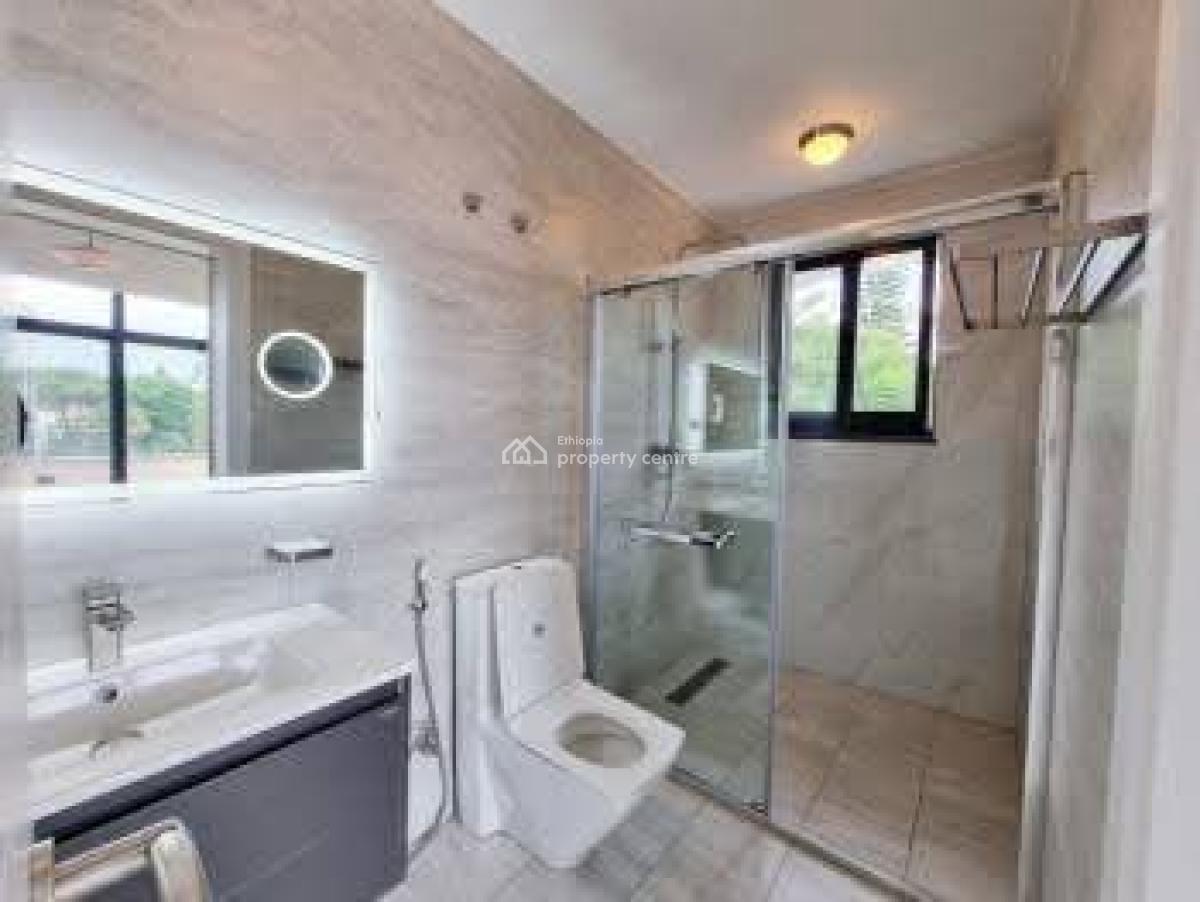 Ambassador-type House -- Old Airport, Nifas Silk-lafto, Addis Ababa, House for Rent