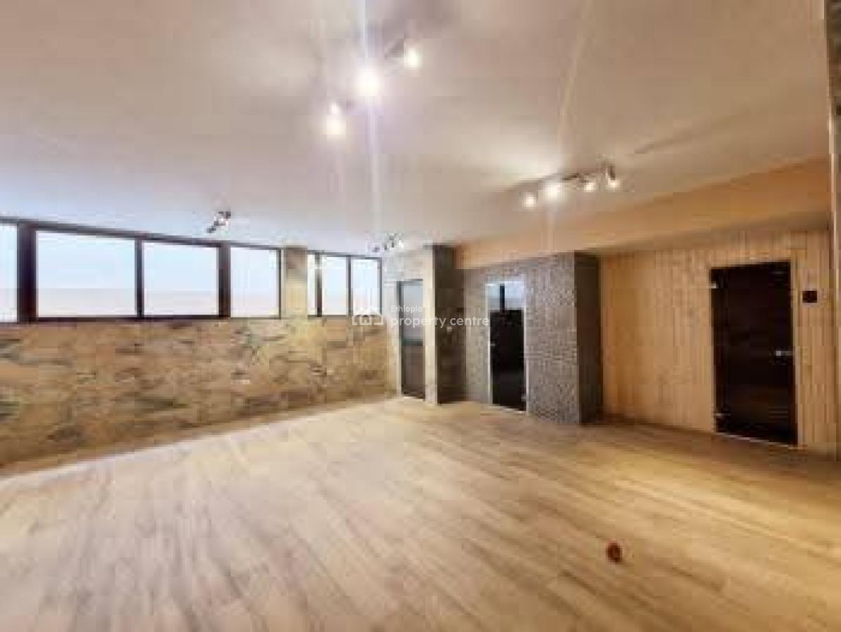 Ambassador-type House -- Old Airport, Nifas Silk-lafto, Addis Ababa, House for Rent