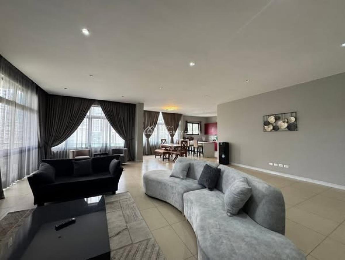 Spacious 400sqm Apartment, Bole, Bole, Addis Ababa, Apartment for Rent