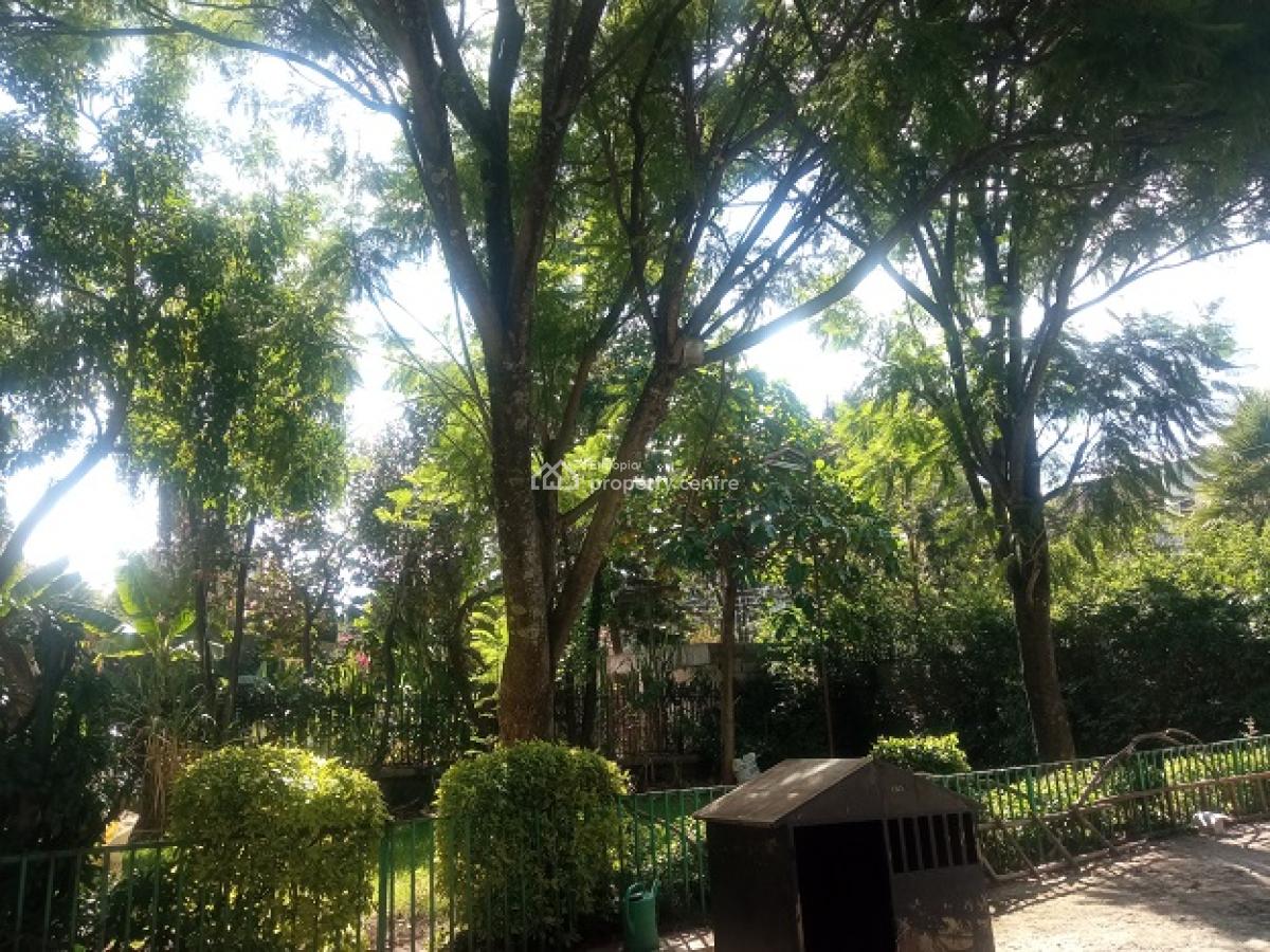 Great House, Big Balconies, Coffee and Avocado Trees!, Yeka, Addis Ababa, House for Rent