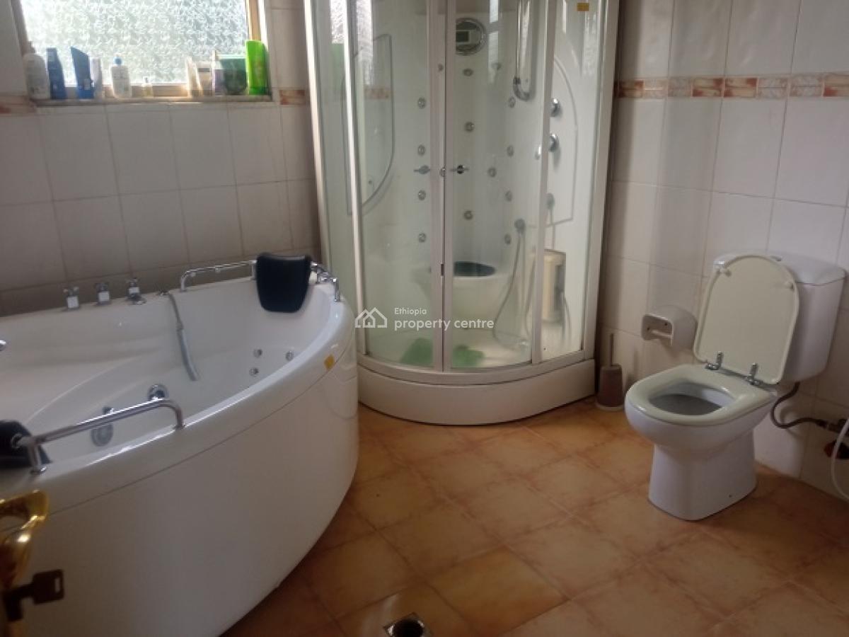 Great House, Big Balconies, Coffee and Avocado Trees!, Yeka, Addis Ababa, House for Rent