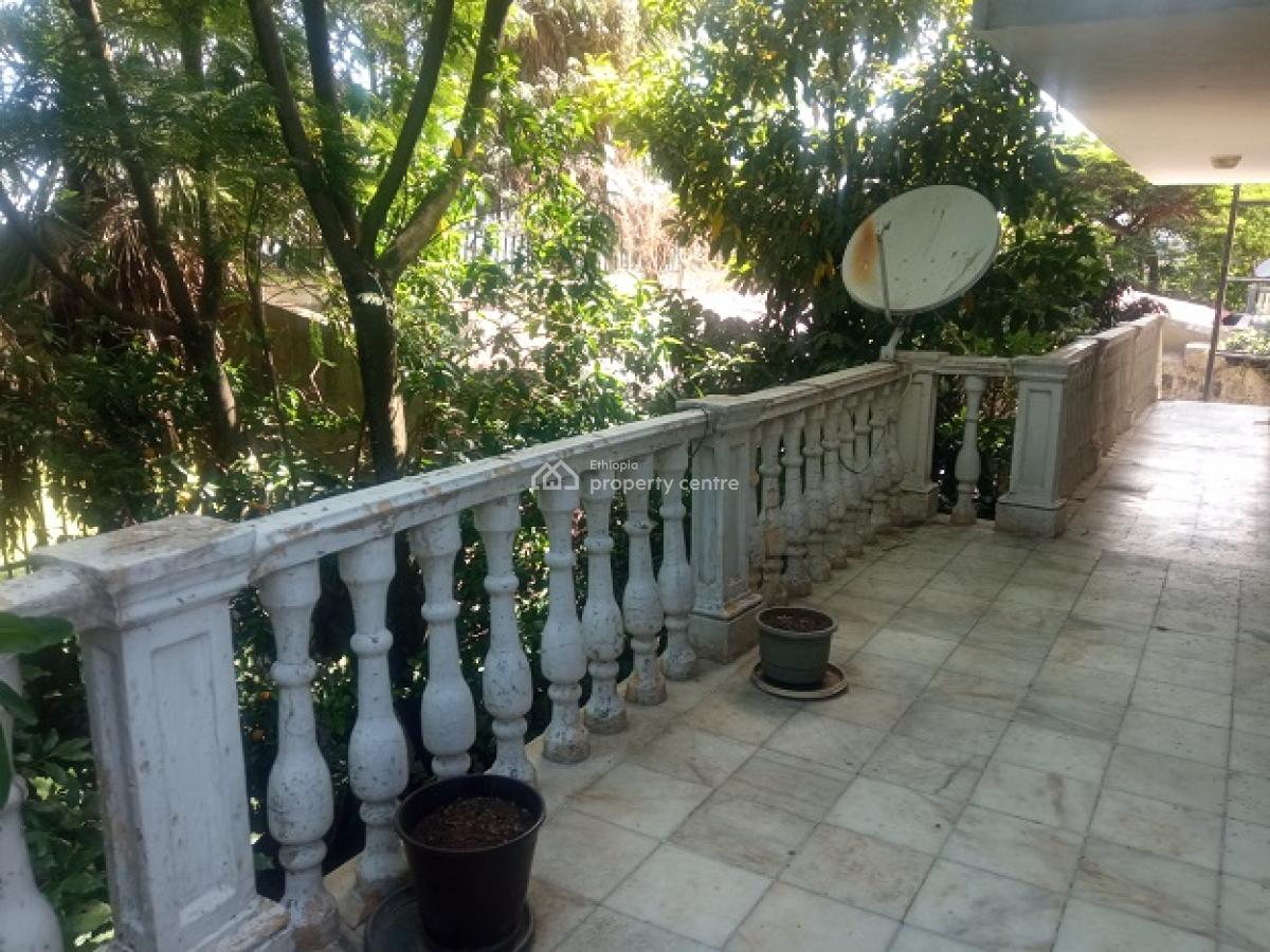Great House, Big Balconies, Coffee and Avocado Trees!, Yeka, Addis Ababa, House for Rent