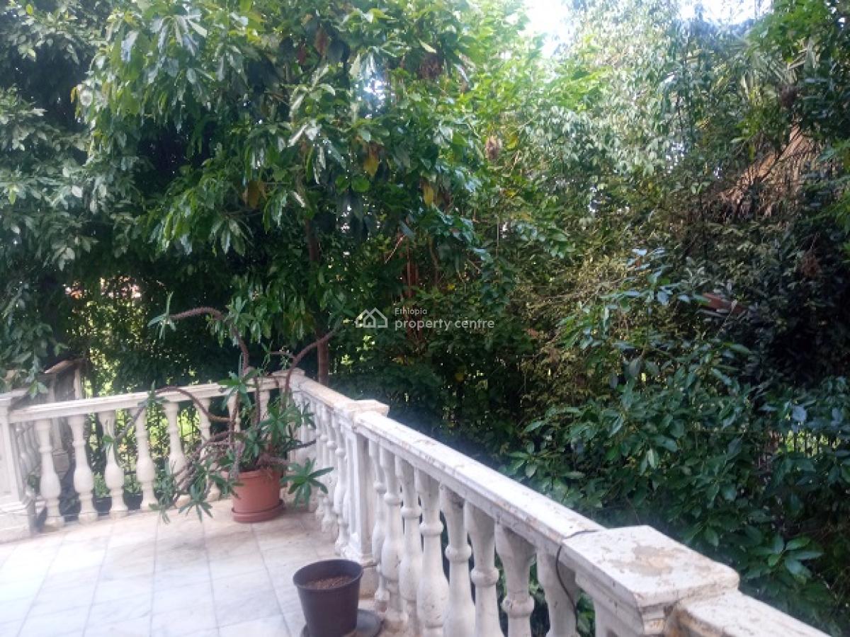 Great House, Big Balconies, Coffee and Avocado Trees!, Yeka, Addis Ababa, House for Rent