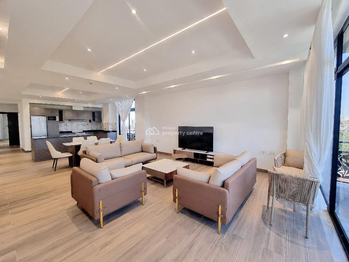 Stunning Furnished Apartment Near The American School -- Old Airport, Nifas Silk-lafto, Addis Ababa, Apartment for Rent
