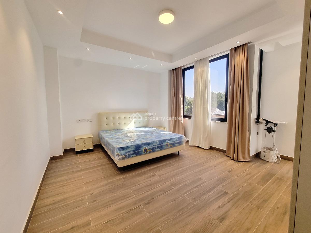 Stunning Furnished Apartment Near The American School -- Old Airport, Nifas Silk-lafto, Addis Ababa, Apartment for Rent