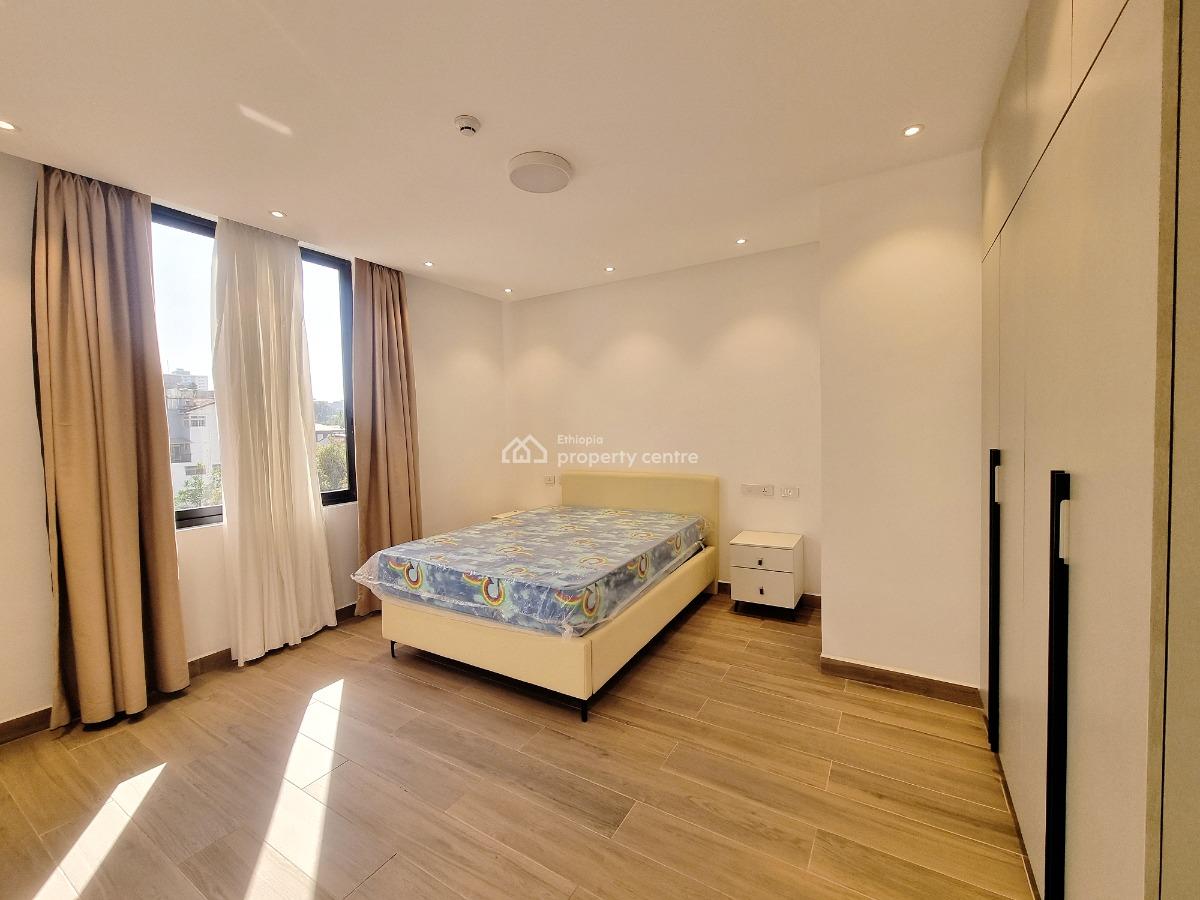 Stunning Furnished Apartment Near The American School -- Old Airport, Nifas Silk-lafto, Addis Ababa, Apartment for Rent