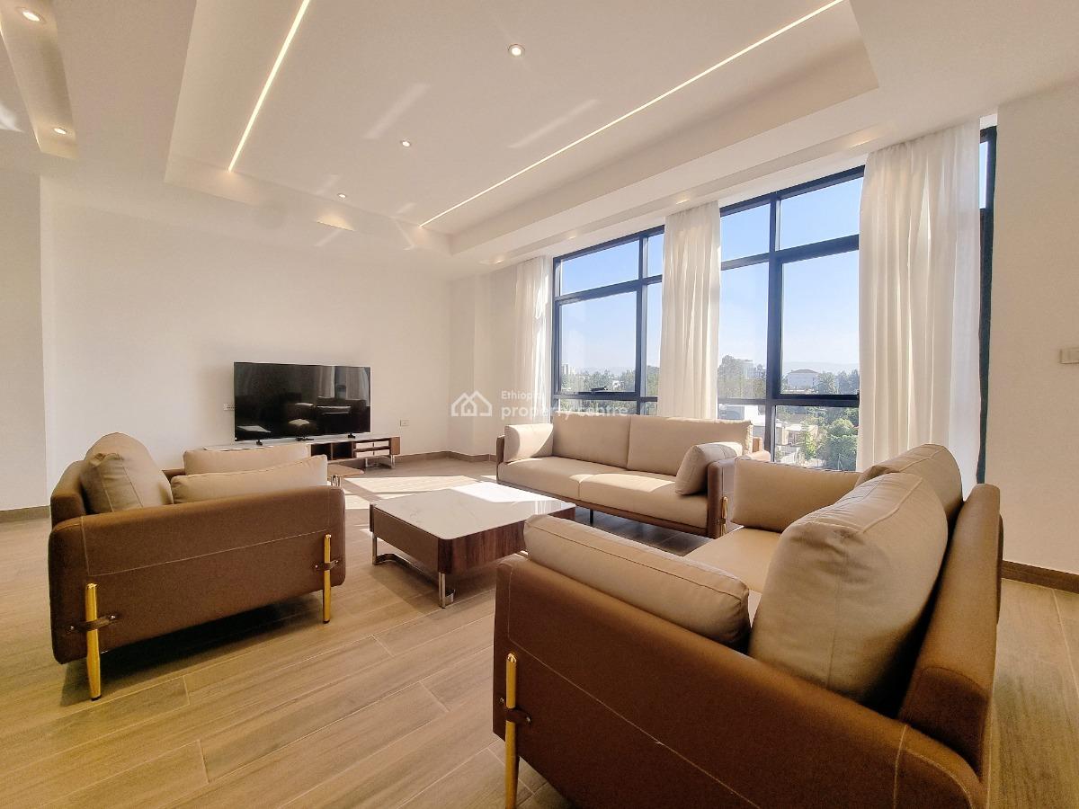 New Spacious Luxury Apartment -- Fully Furnished, Nifas Silk-lafto, Addis Ababa, Apartment for Rent