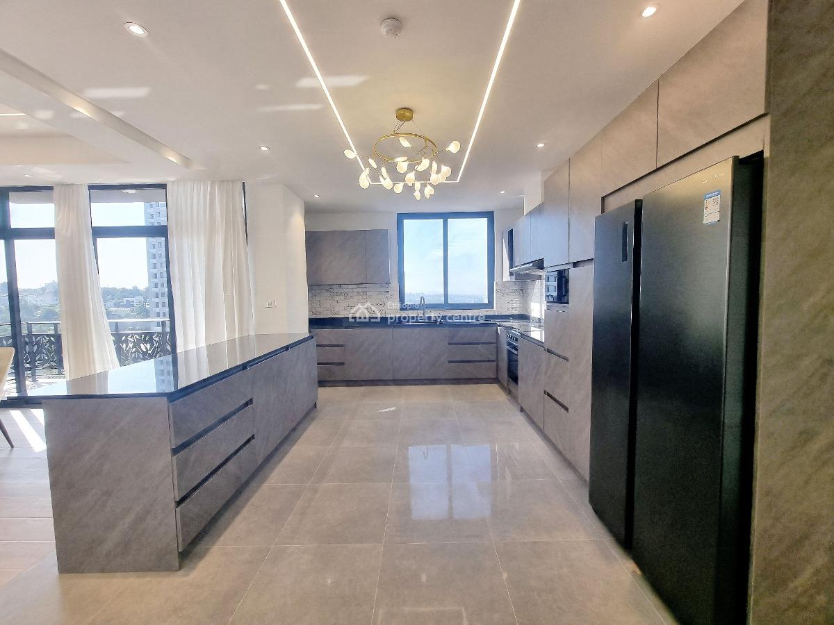 New Spacious Luxury Apartment -- Fully Furnished, Nifas Silk-lafto, Addis Ababa, Apartment for Rent