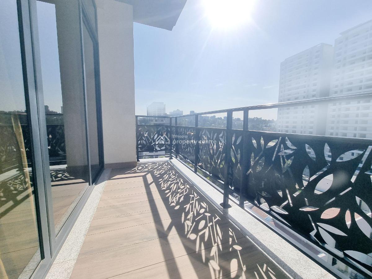 New Spacious Luxury Apartment -- Fully Furnished, Nifas Silk-lafto, Addis Ababa, Apartment for Rent