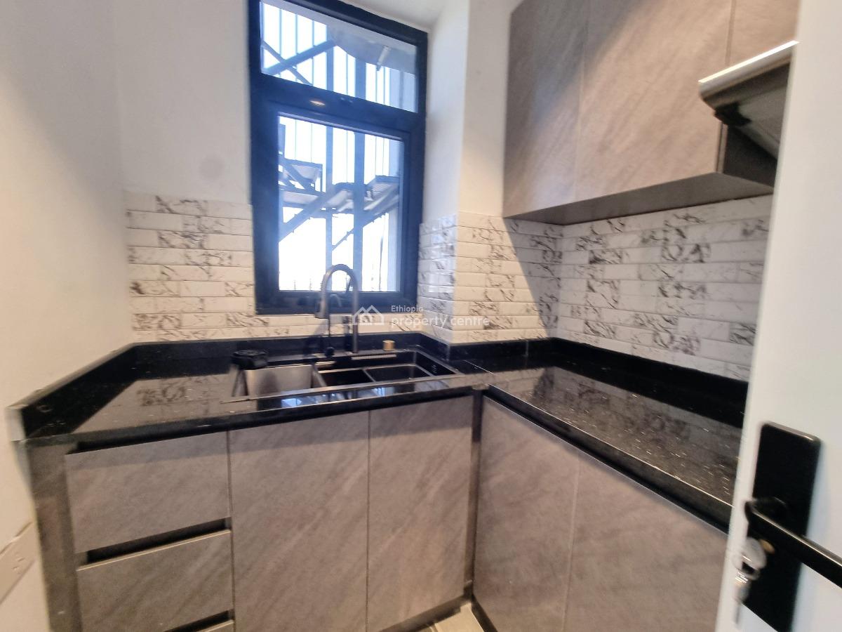 New Spacious Luxury Apartment -- Fully Furnished, Nifas Silk-lafto, Addis Ababa, Apartment for Rent