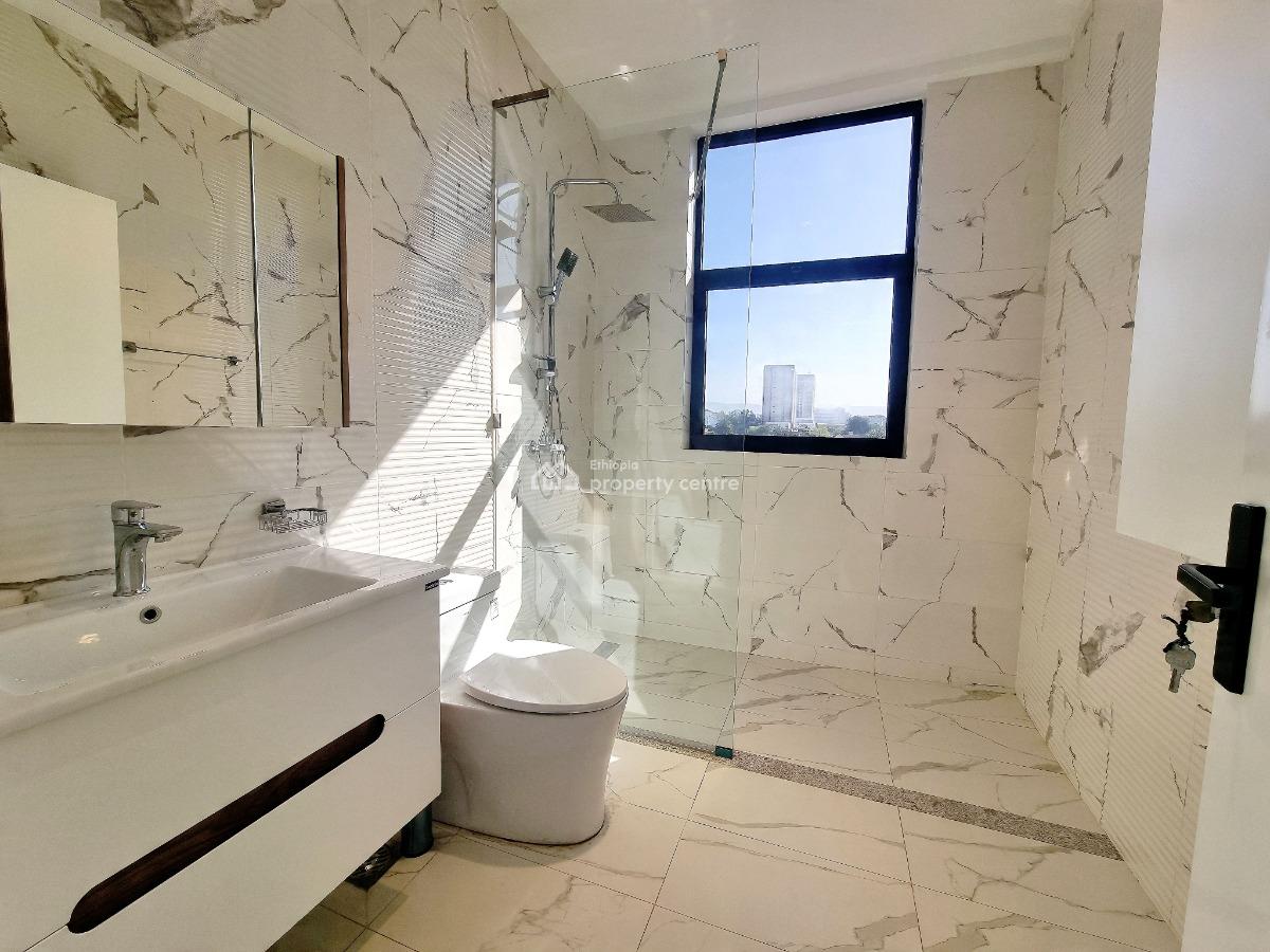 New Spacious Luxury Apartment -- Fully Furnished, Nifas Silk-lafto, Addis Ababa, Apartment for Rent