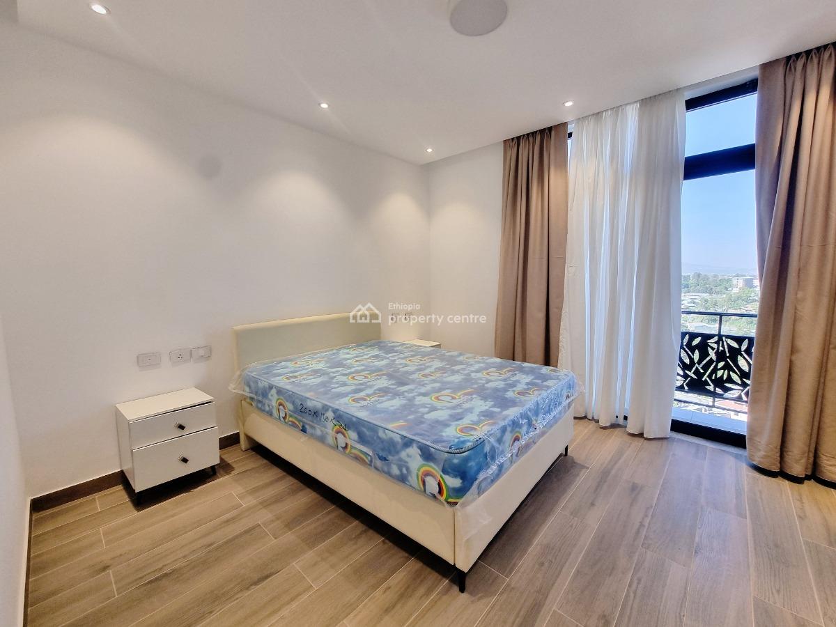 New Spacious Luxury Apartment -- Fully Furnished, Nifas Silk-lafto, Addis Ababa, Apartment for Rent