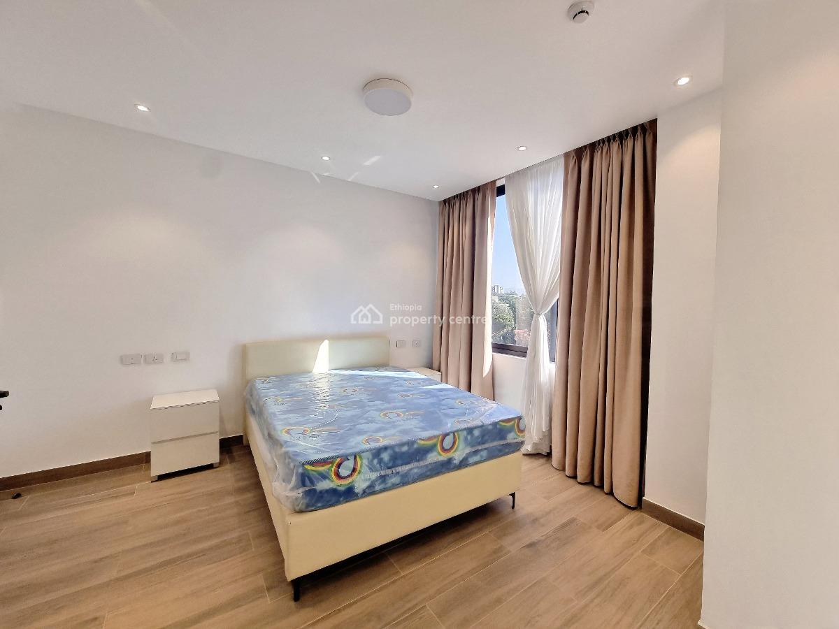 New Spacious Luxury Apartment -- Fully Furnished, Nifas Silk-lafto, Addis Ababa, Apartment for Rent
