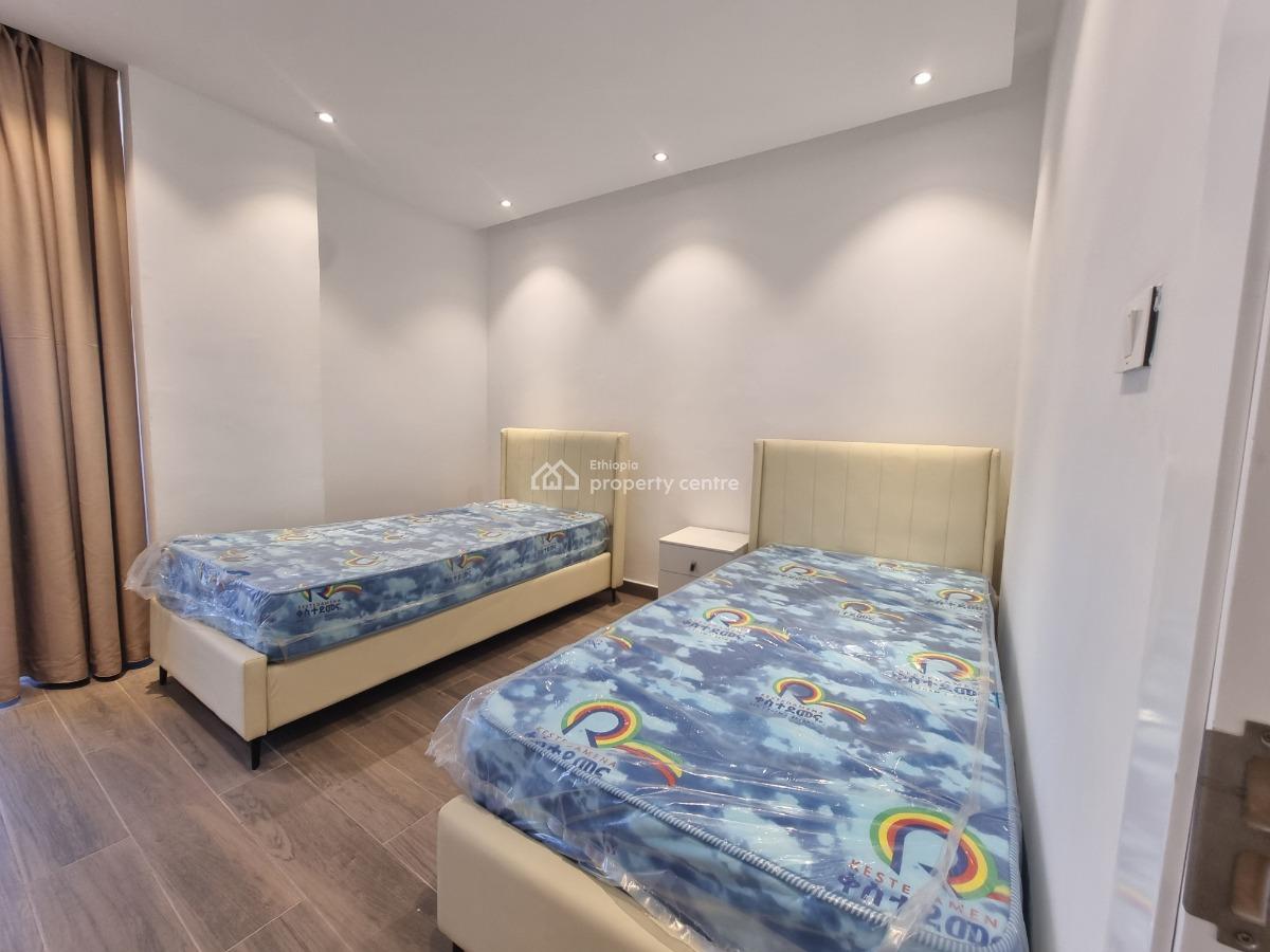 New Spacious Luxury Apartment -- Fully Furnished, Nifas Silk-lafto, Addis Ababa, Apartment for Rent