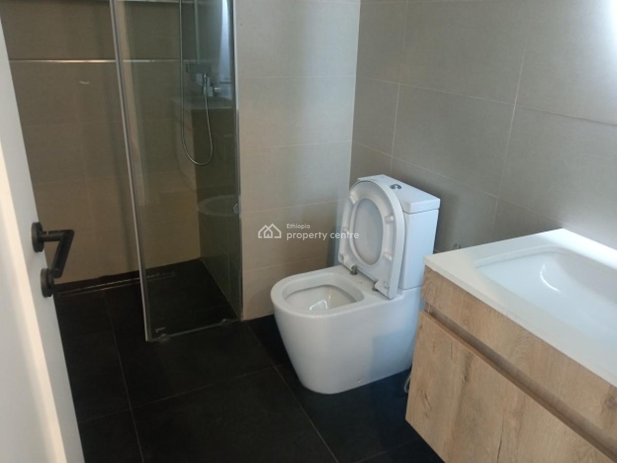 New and High Quality 2 Bed Room Apartments with a Swimming Pool., Bole, Addis Ababa, Apartment for Rent